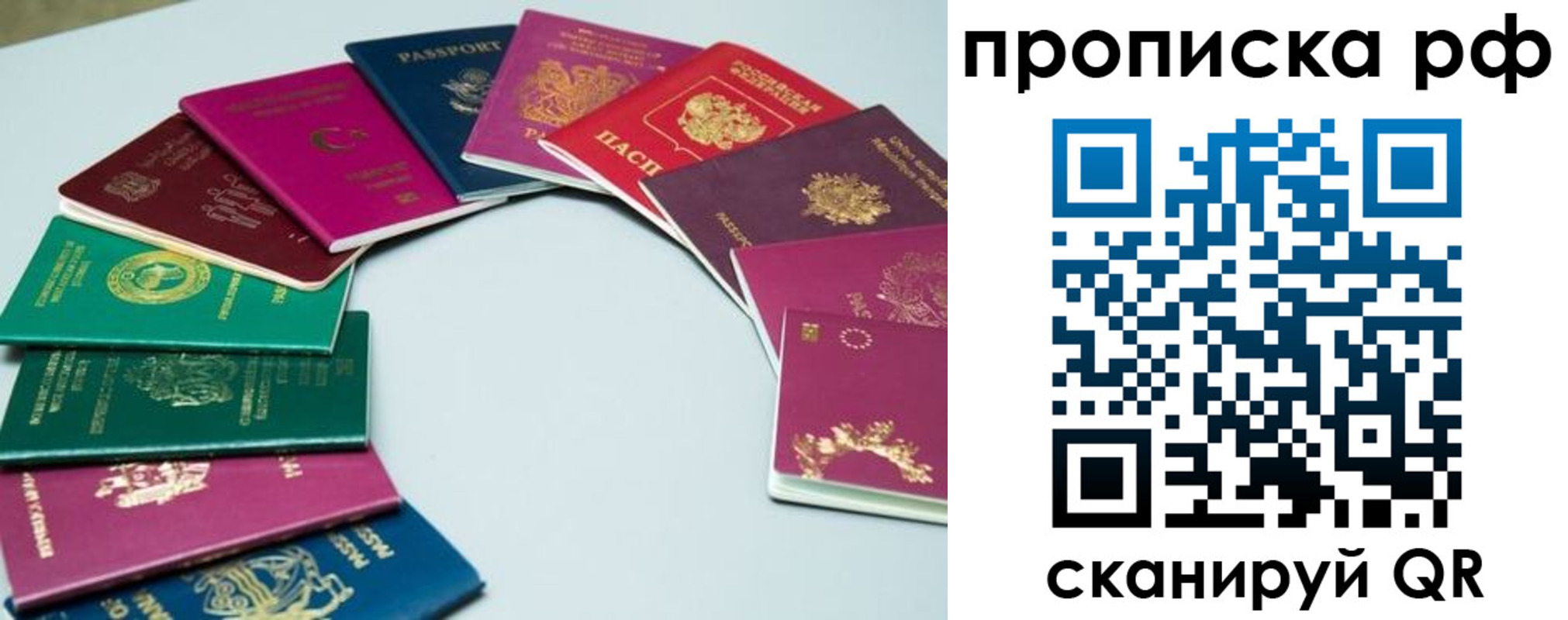 временная регистрация собственник в Светлогорске